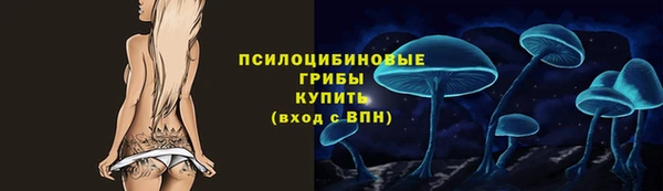 ГАЛЛЮЦИНОГЕННЫЕ ГРИБЫ Алзамай