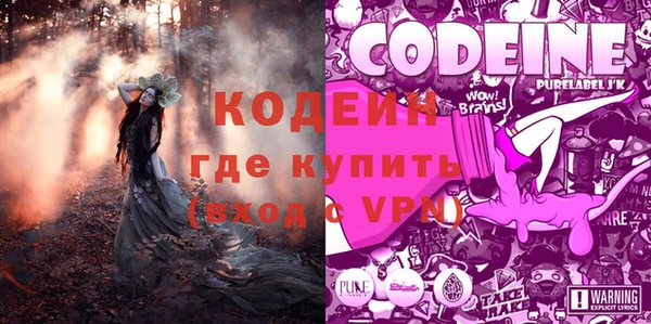 ГАЛЛЮЦИНОГЕННЫЕ ГРИБЫ Алзамай