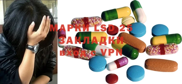 ГАЛЛЮЦИНОГЕННЫЕ ГРИБЫ Алзамай